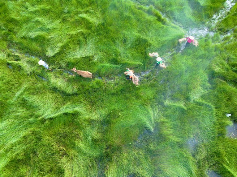 business landscape analysis overview